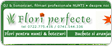 Florãrie online php&mysql - programare custom / personalizatã - webdesign personalizat